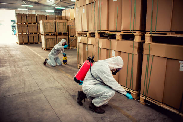 Best Affordable Pest Control Services  in Homestead, PA