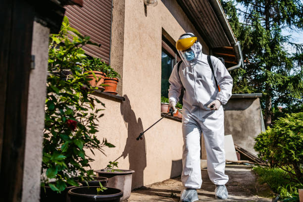 Best Affordable Pest Control Services  in Homestead, PA