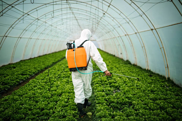 Best Affordable Pest Control Services  in Homestead, PA