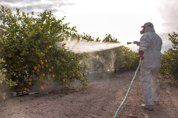 Best Commercial Pest Control Services  in Homestead, PA