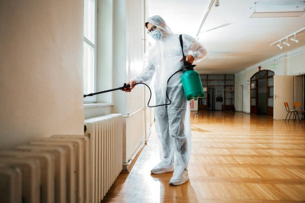 Best Termite Control Services  in Homestead, PA