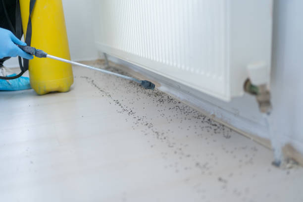 Best Bed Bug Extermination  in Homestead, PA