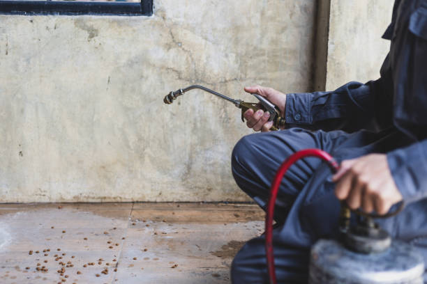 Best Best Pest Control Companies  in Homestead, PA