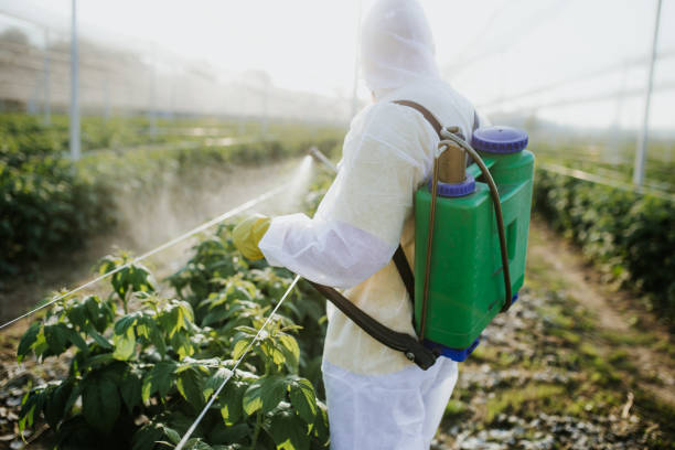 Best Emergency Pest Control  in Homestead, PA